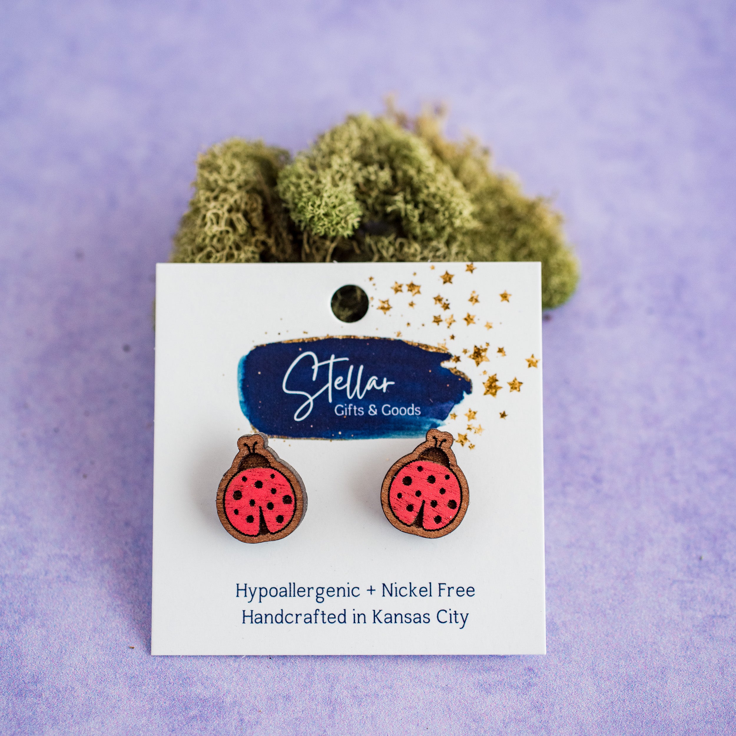 Hand Painted Lady Bug Studs