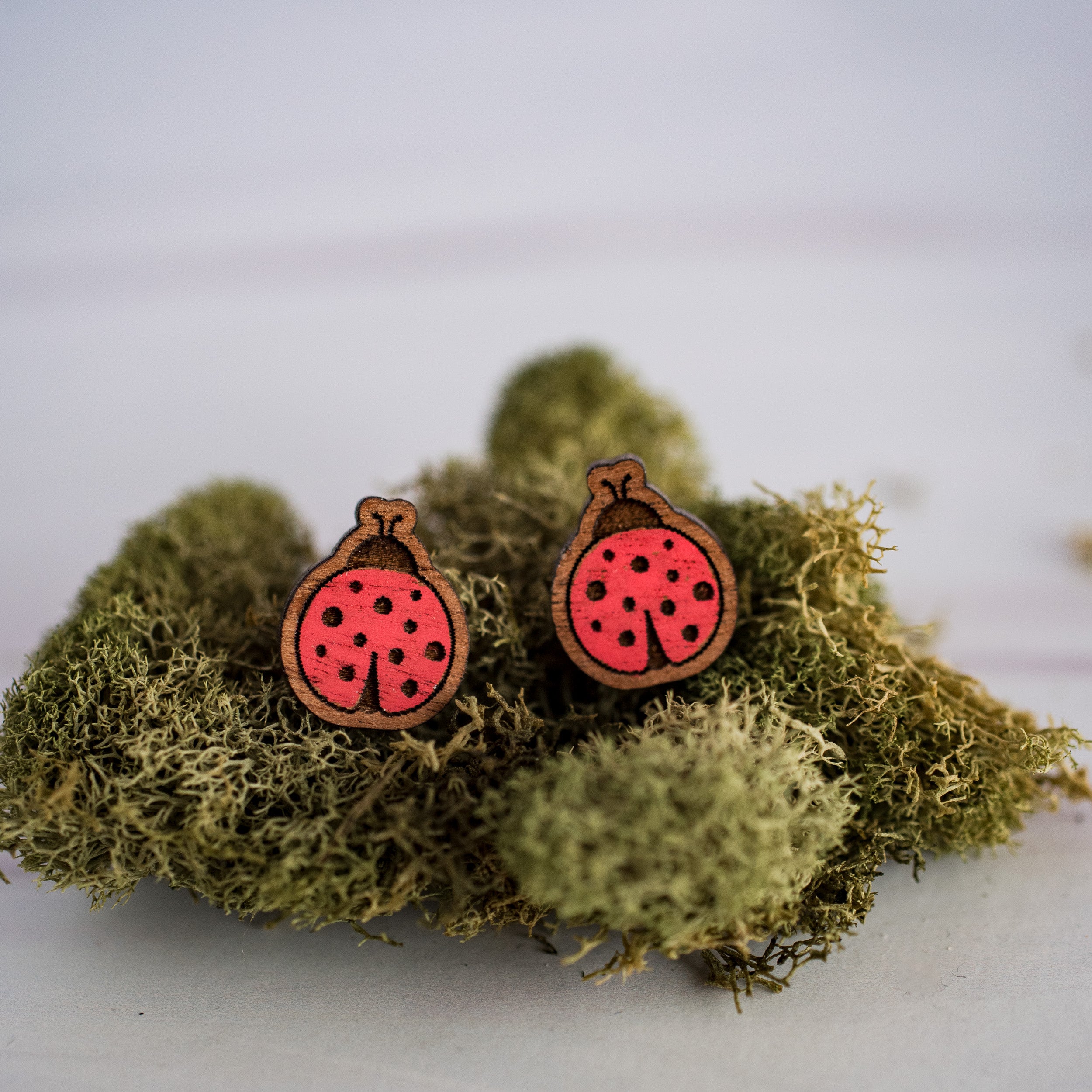 Hand Painted Lady Bug Studs